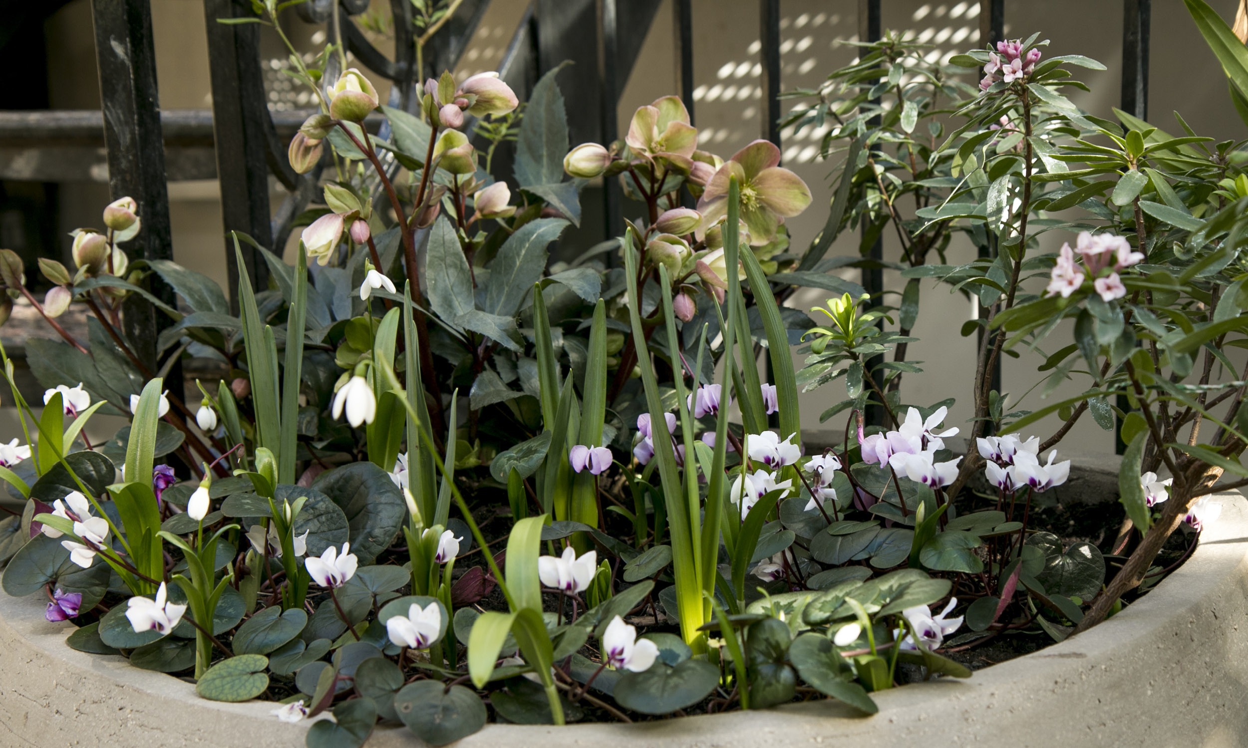 Alexander_Marinaz--3