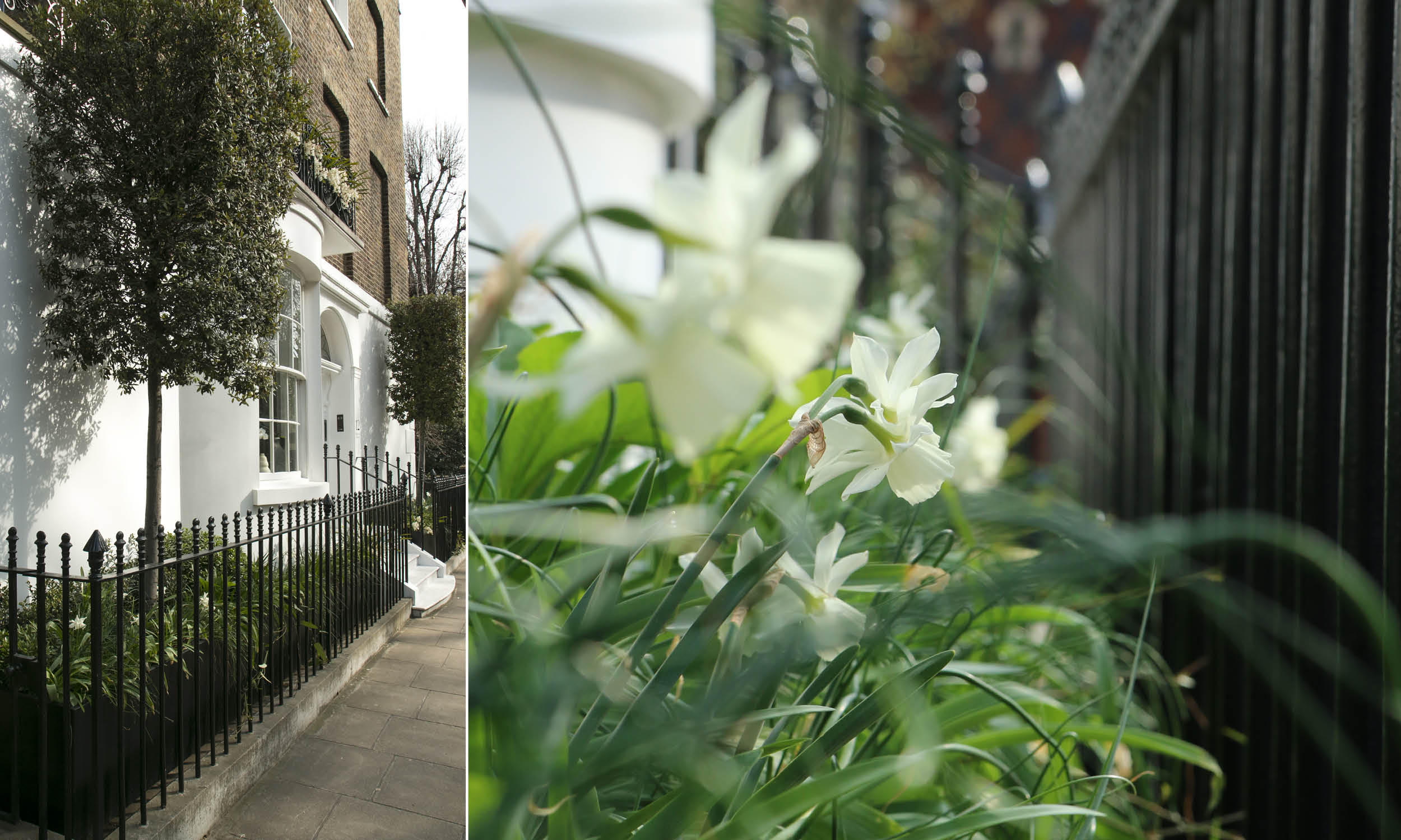 Alexander_Marinaz- front4