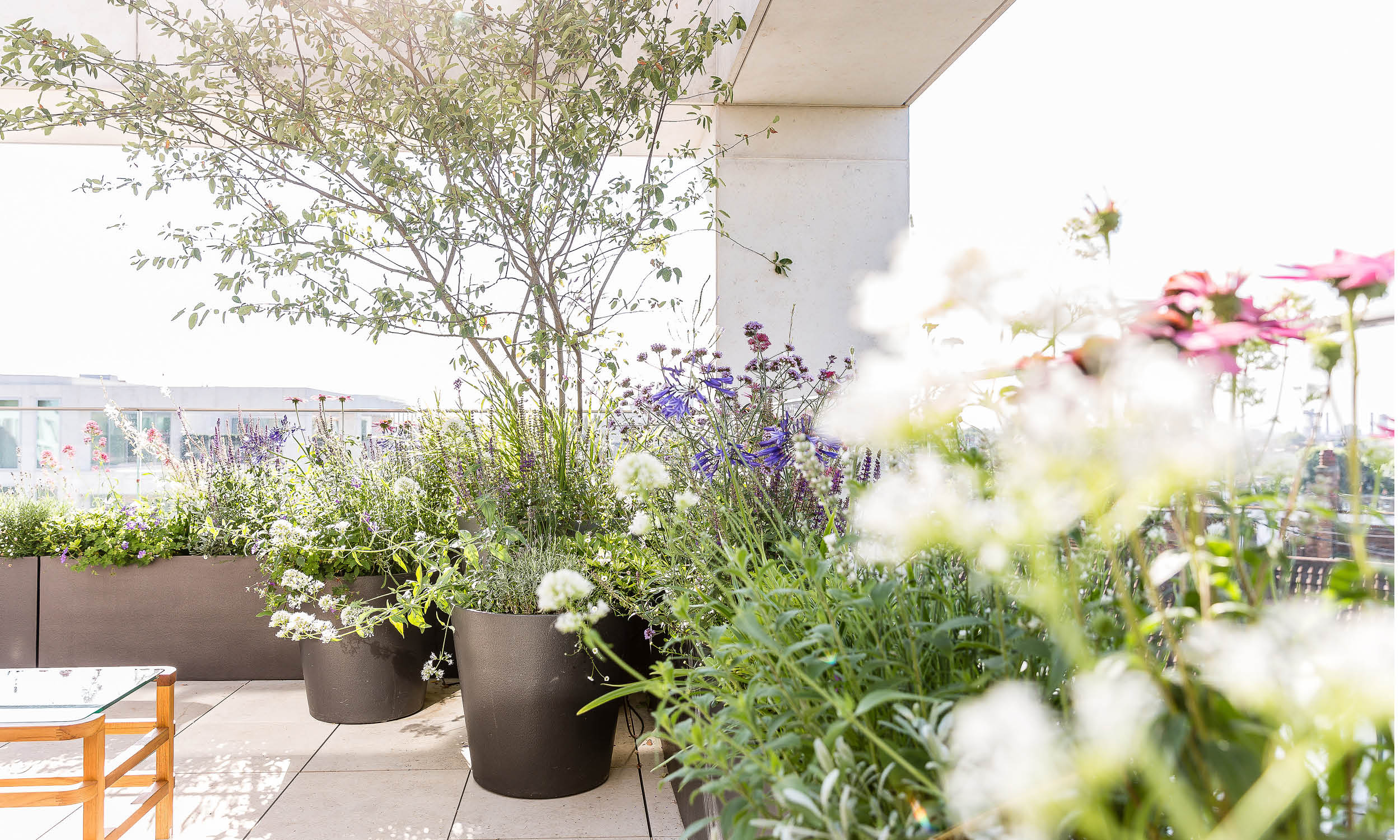 Holland_Park2_Stefano_Marinaz5