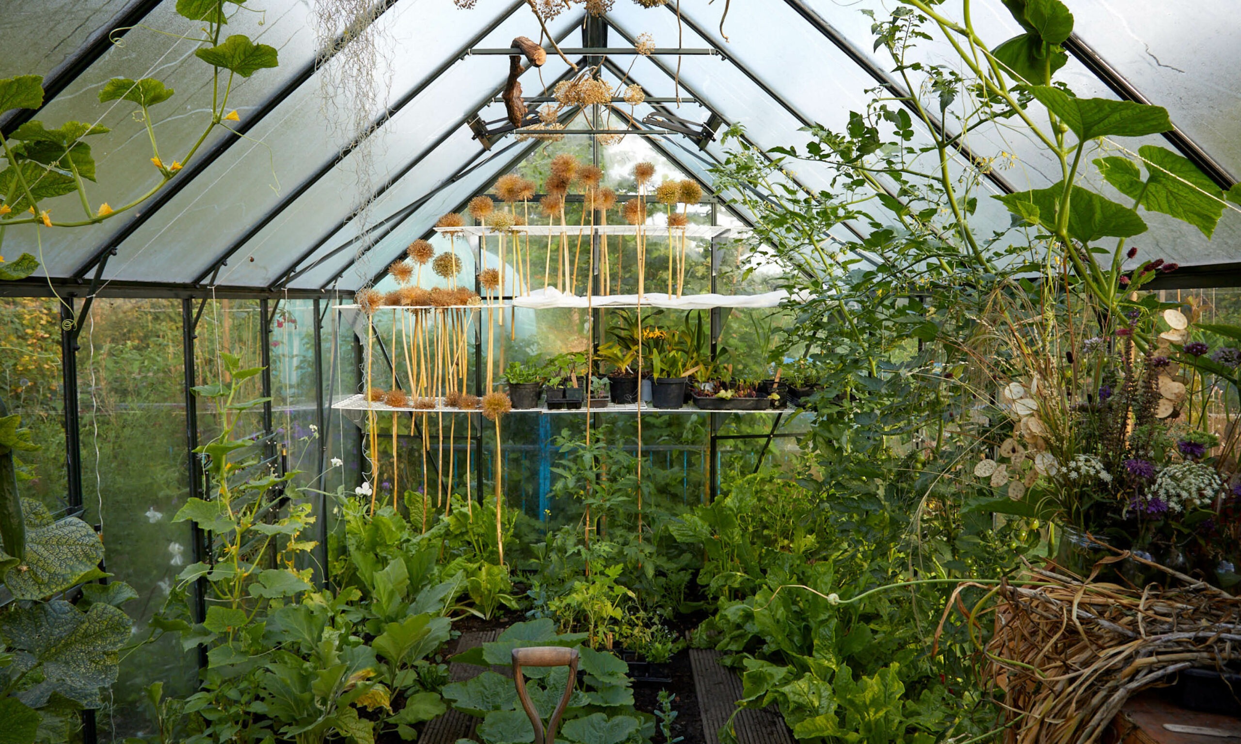 Allotment_garden_design11