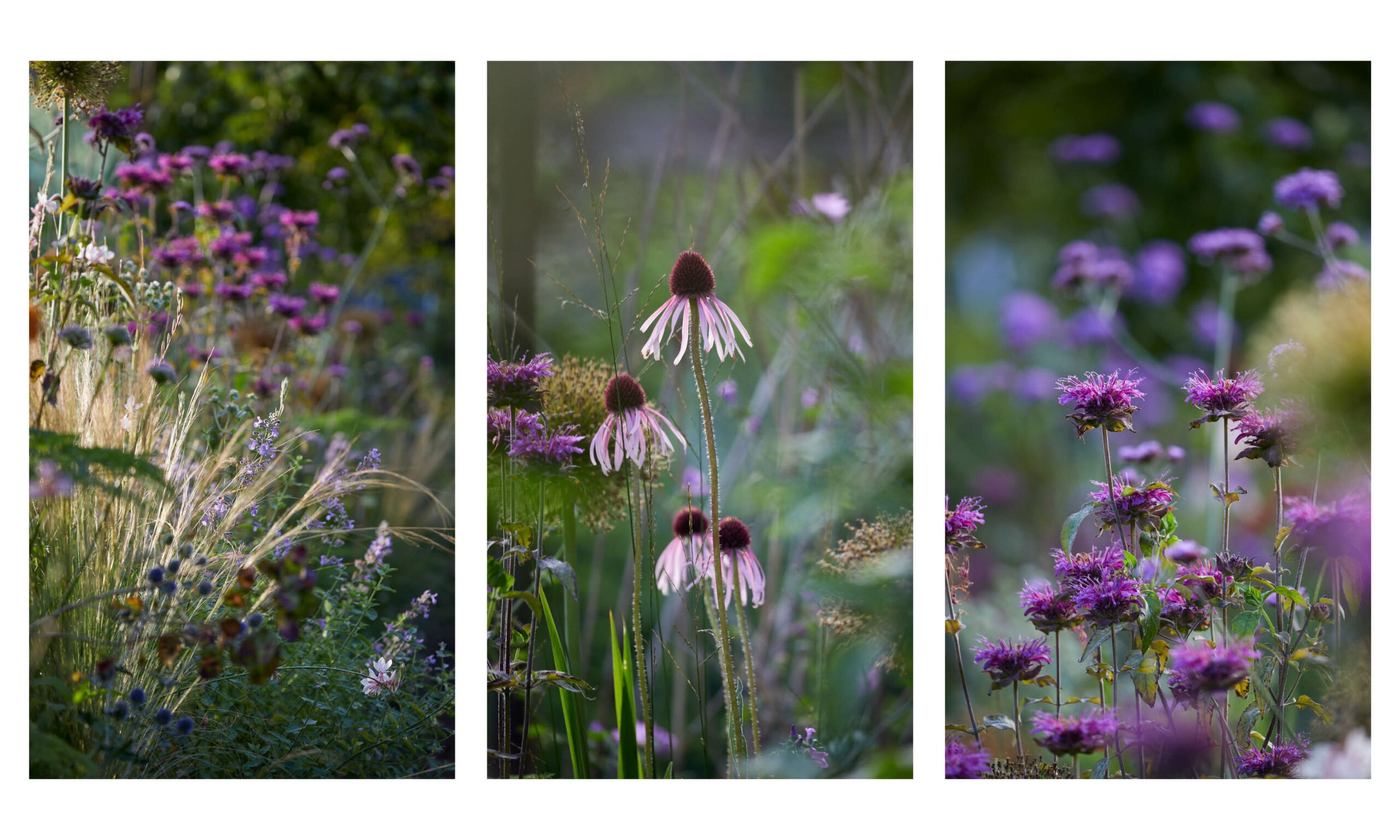 Allotment_garden_design12