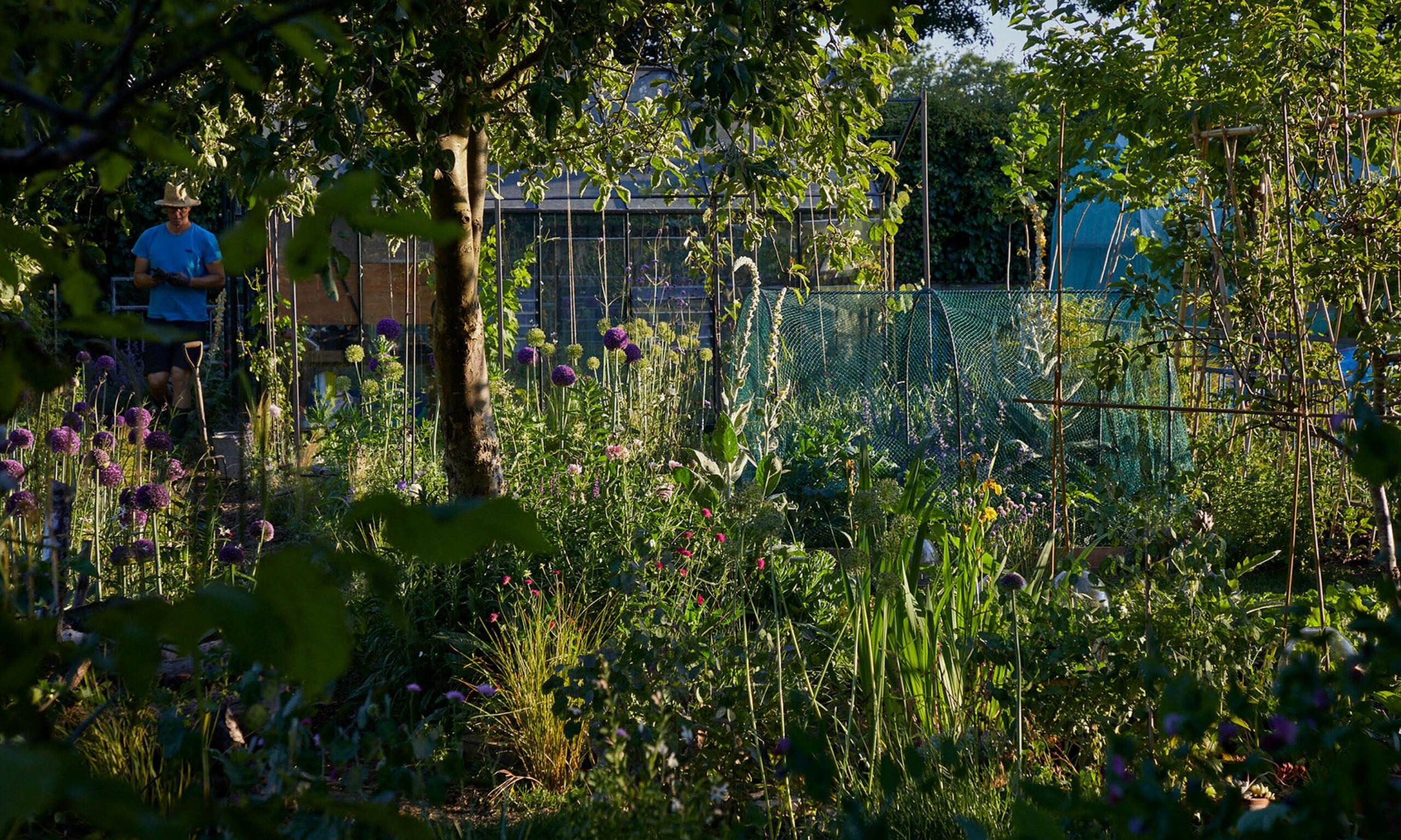 Allotment_garden_design4