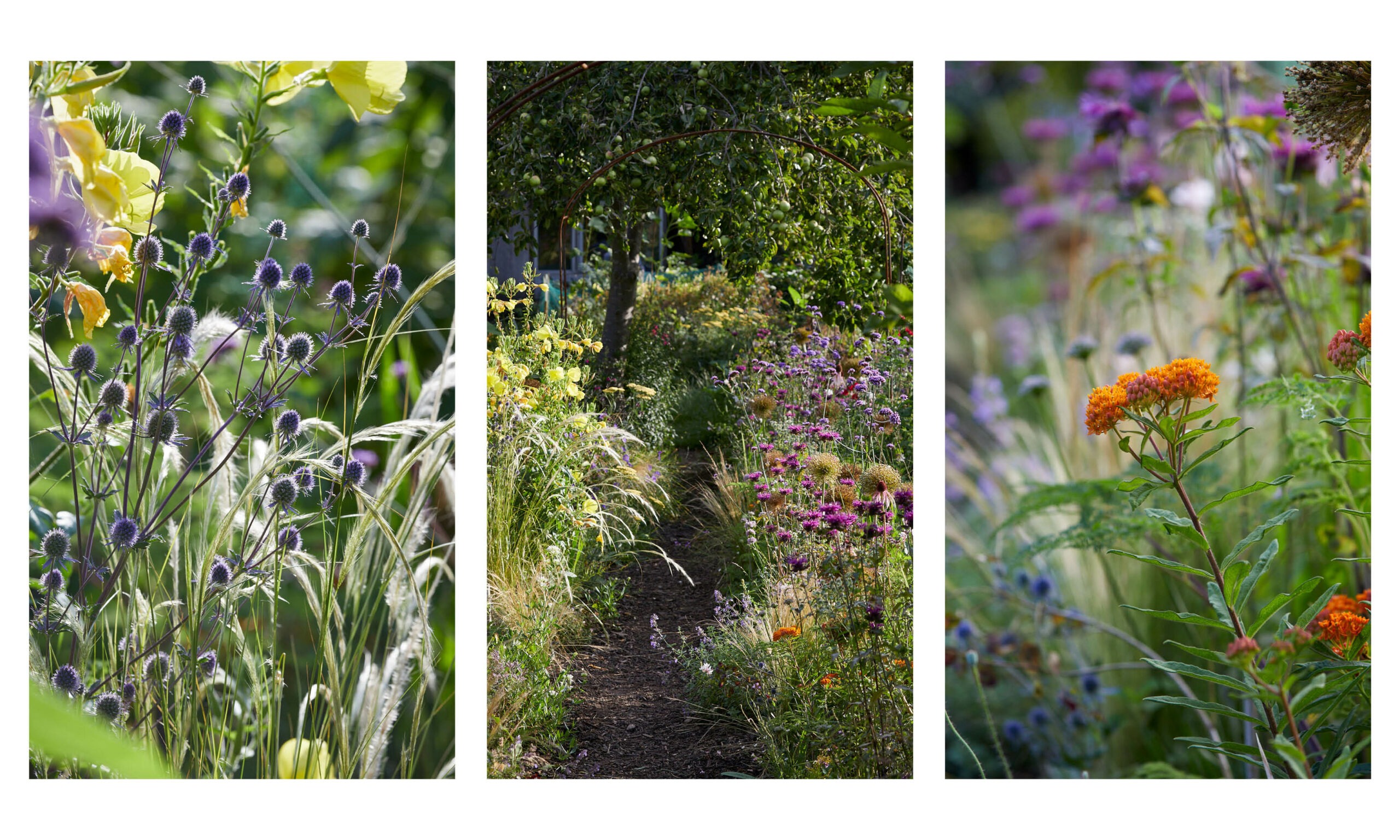 Allotment_garden_design5