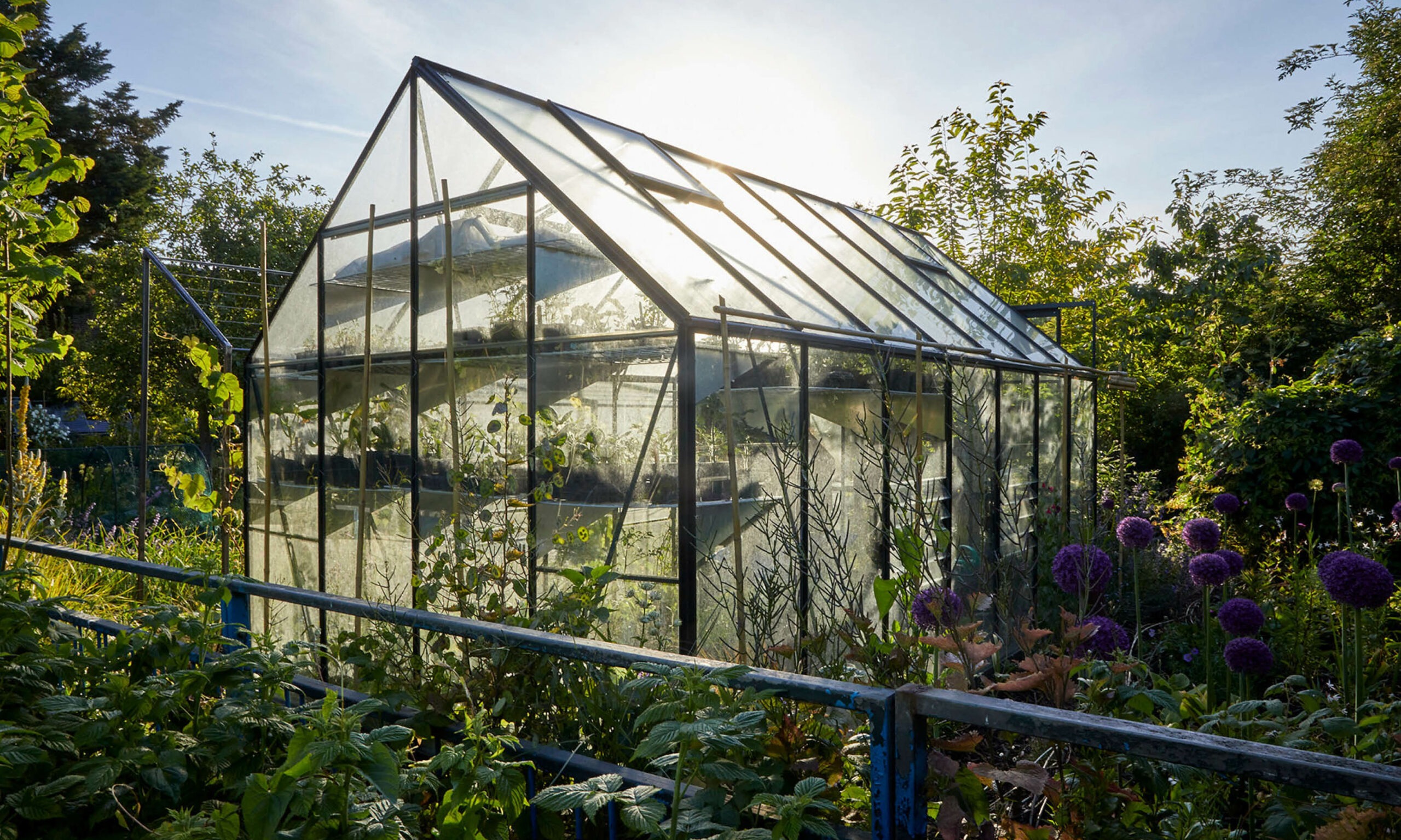 Allotment_garden_design6