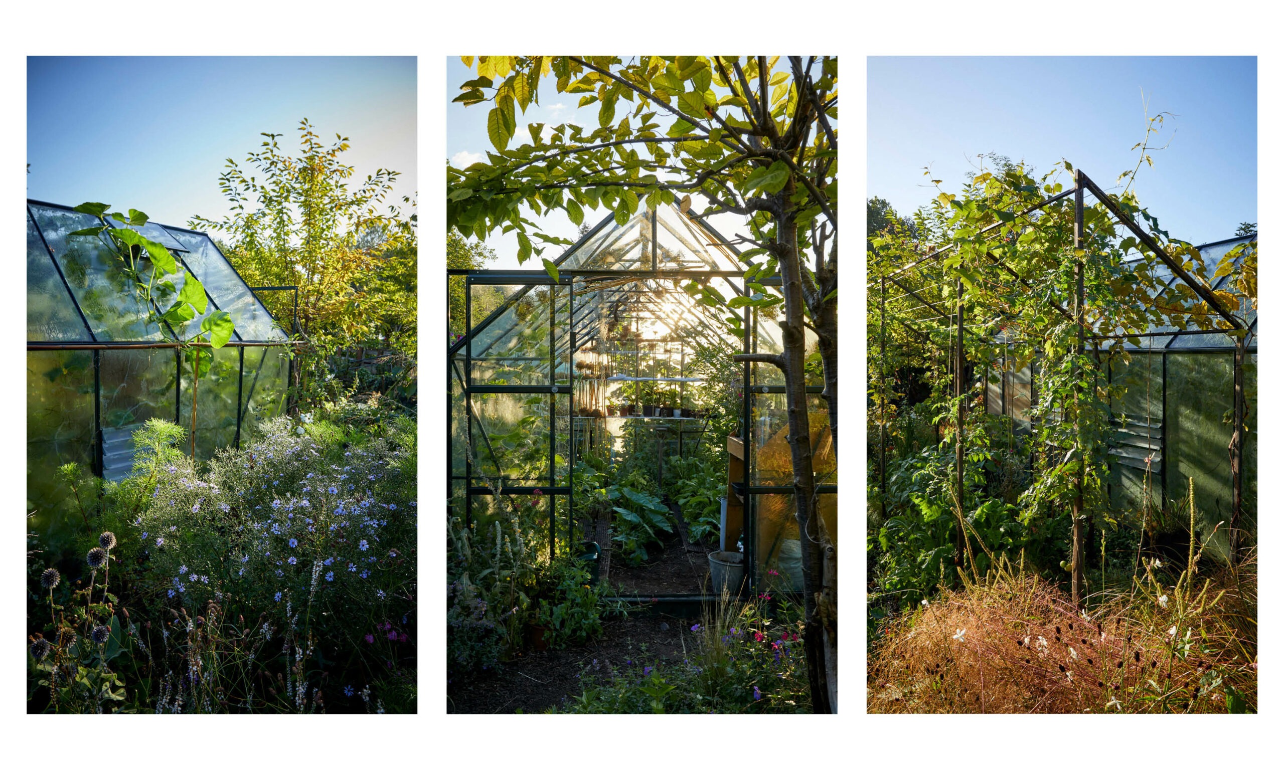 Allotment_garden_design7