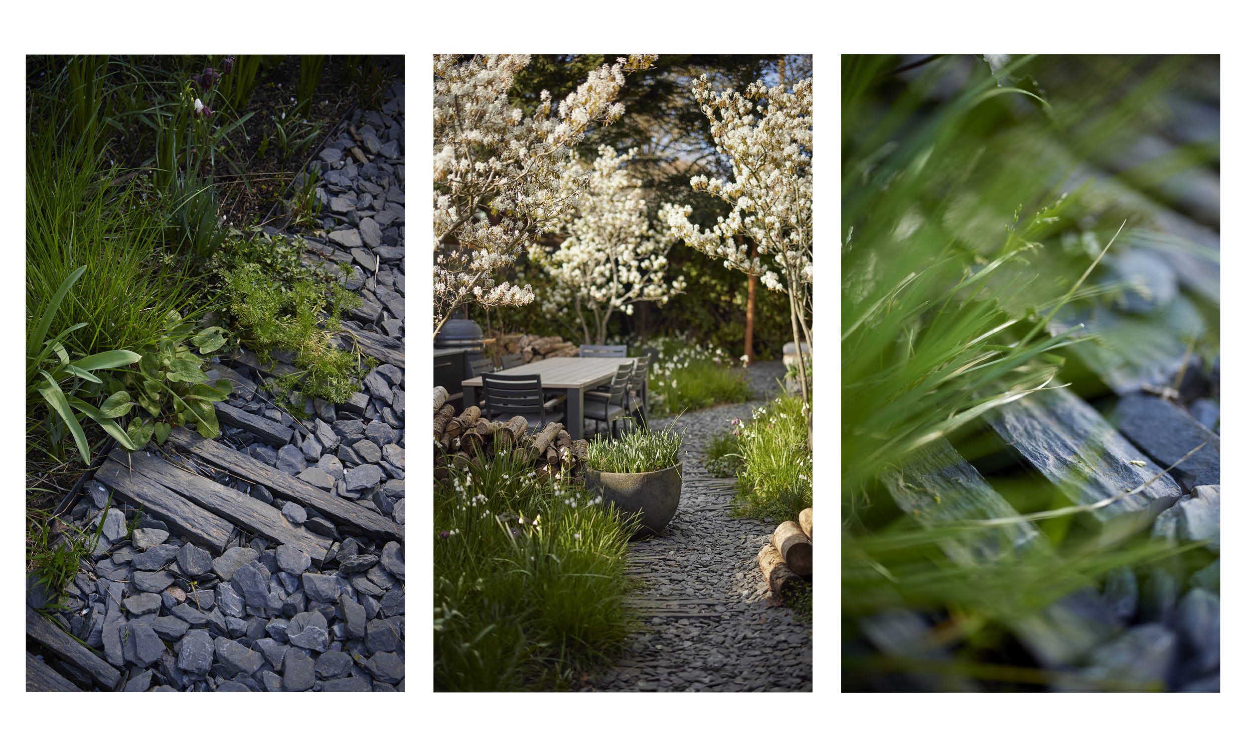 Chiswick_Stefano_Marinaz2