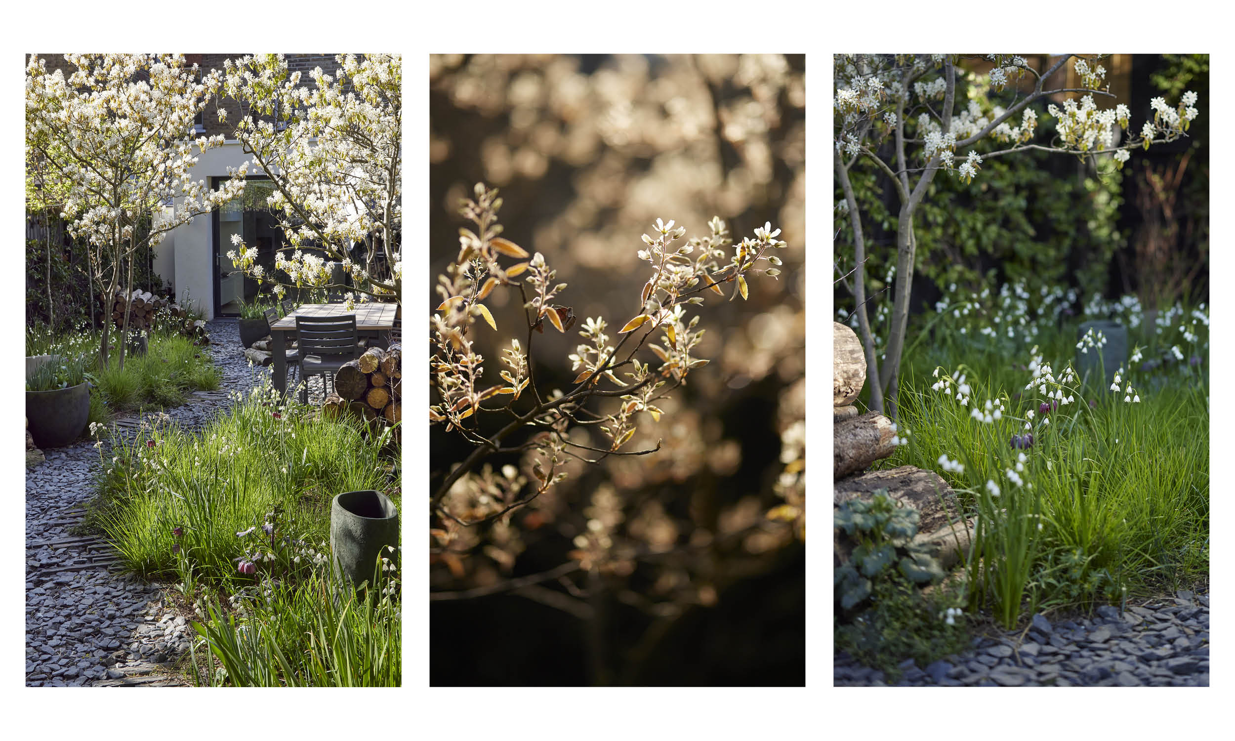 Chiswick_Stefano_Marinaz4