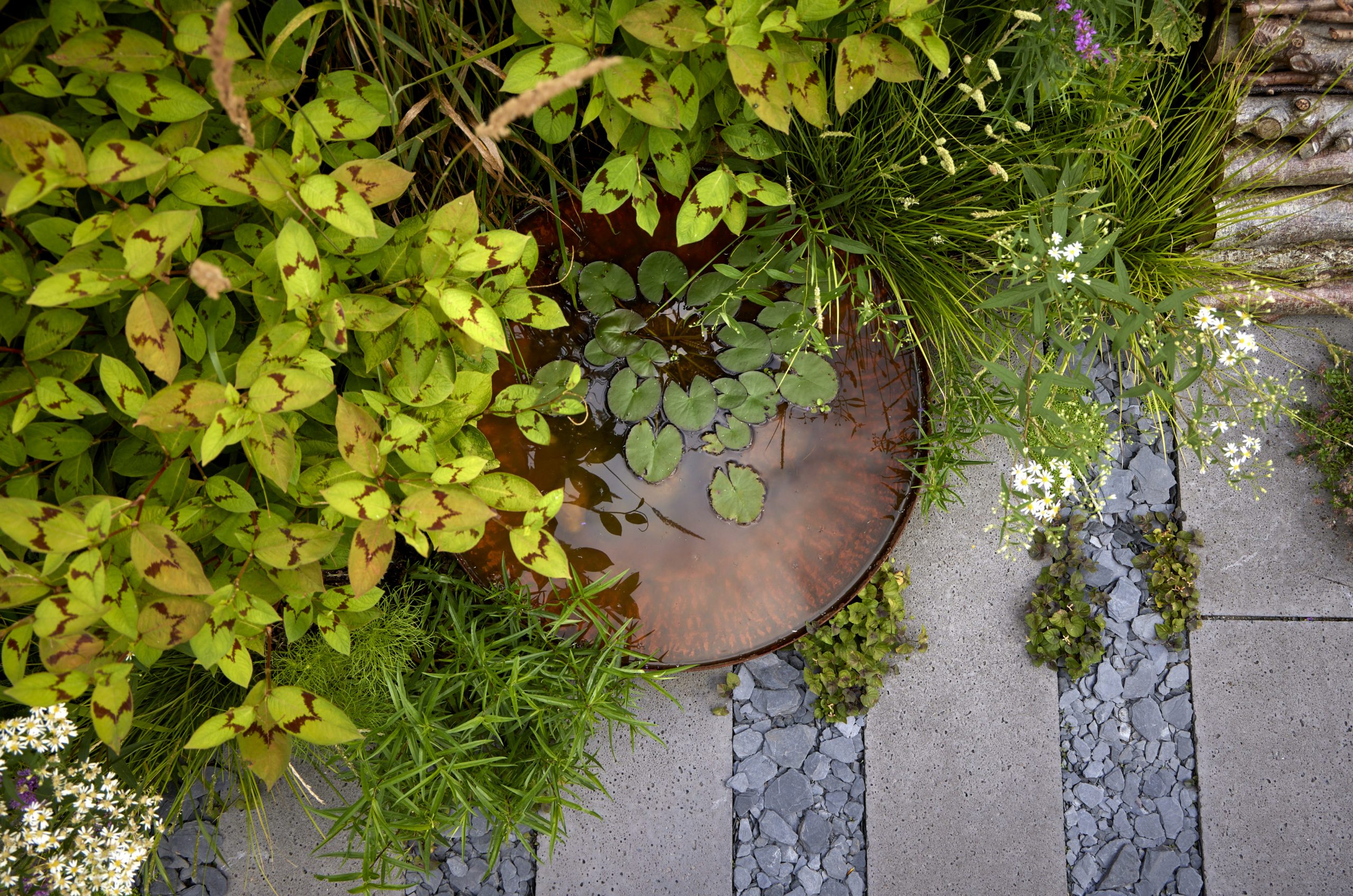 Design Details - Landscape