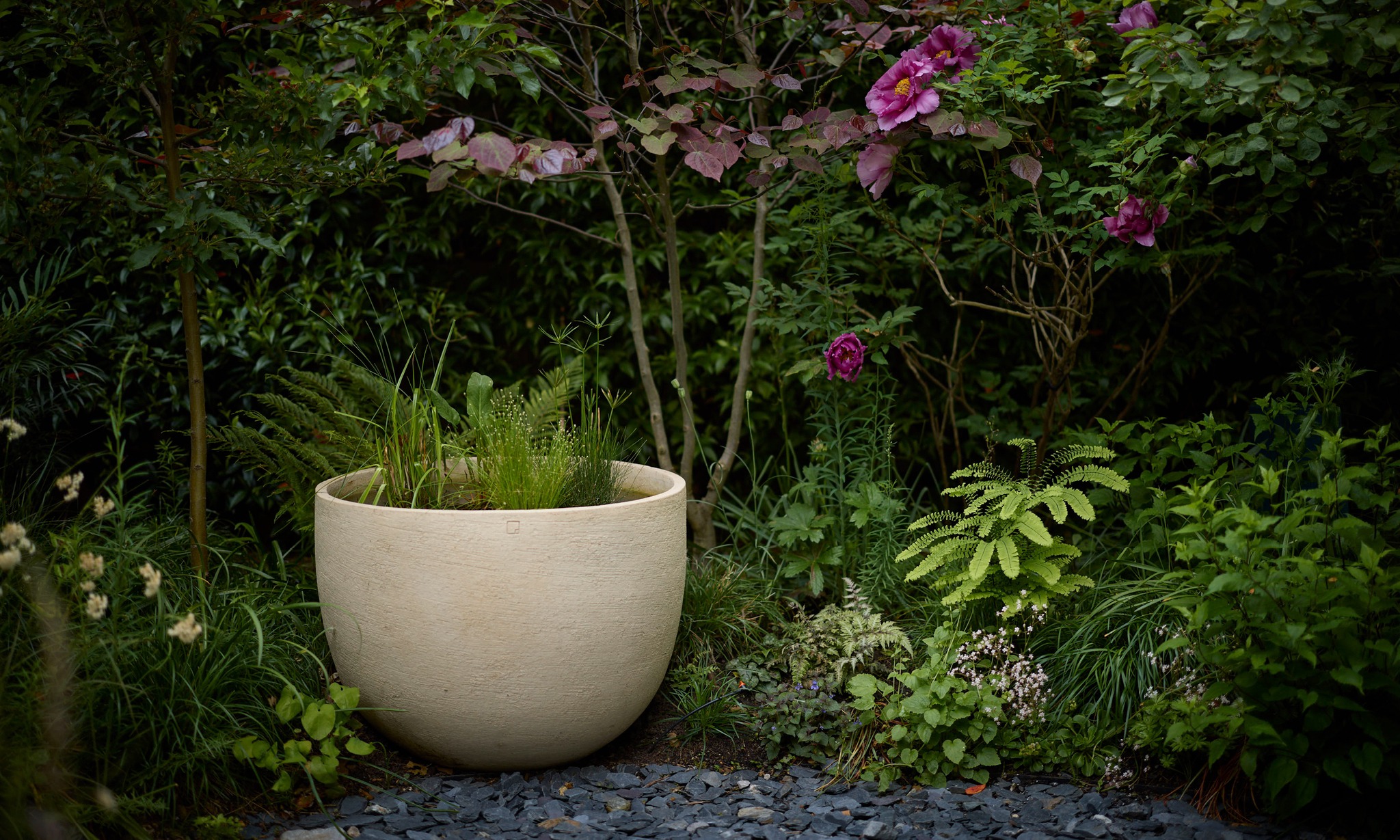 Photographers_Garden10