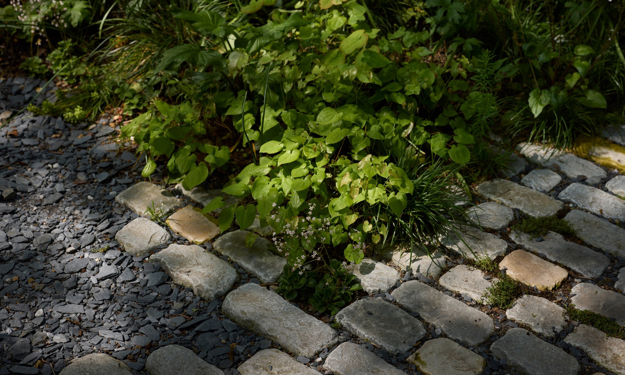 Photographers_Garden16