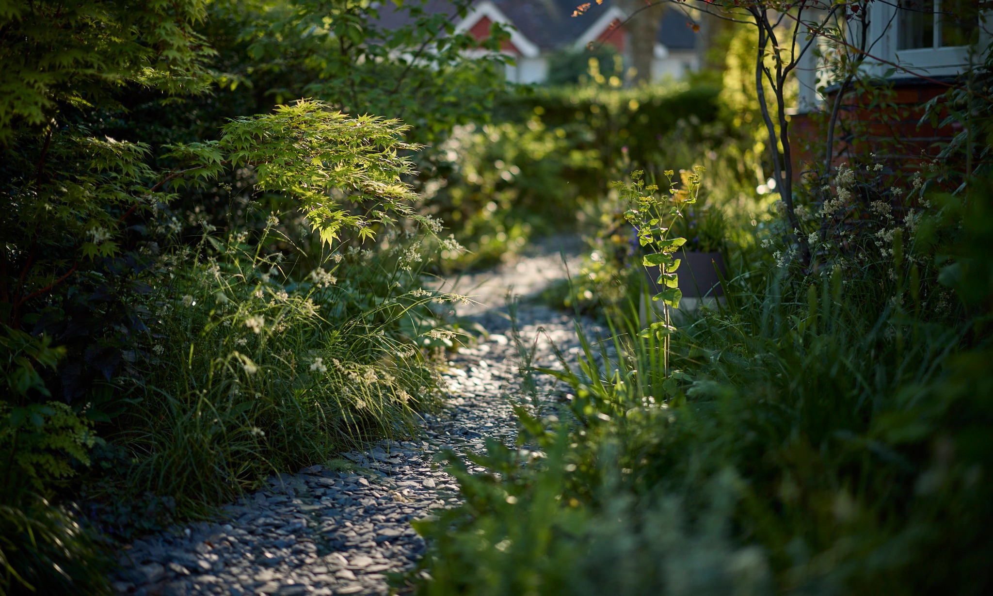 Photographers_Garden19