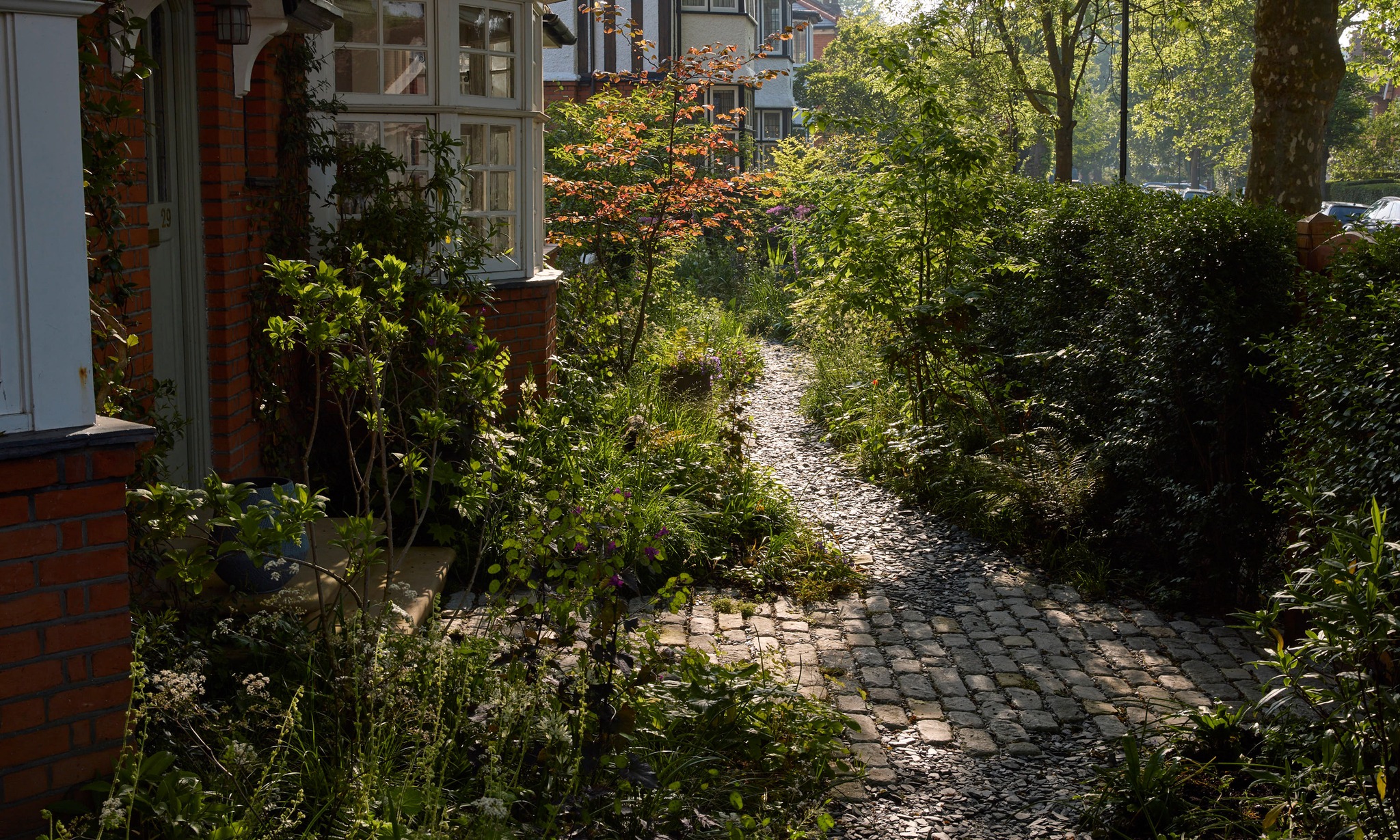 Photographers_Garden4