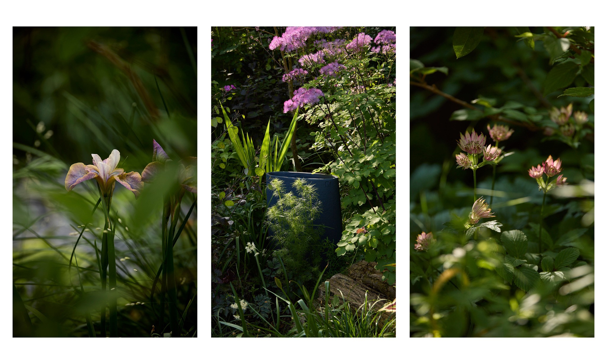 Photographers_Garden7