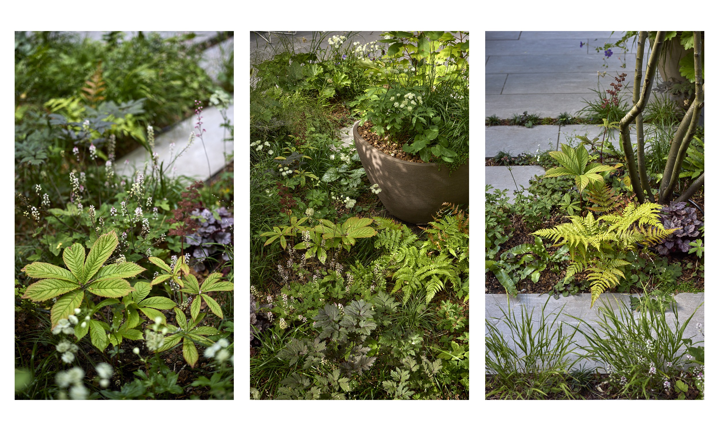 The Garden with a Vibe - 13