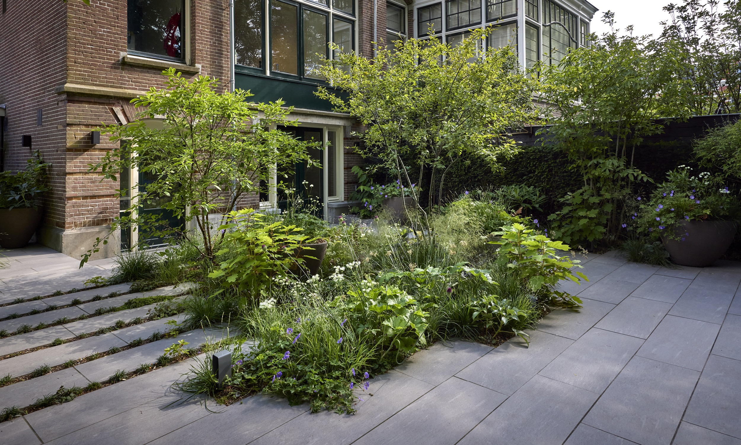 The Garden with a Vibe - 14