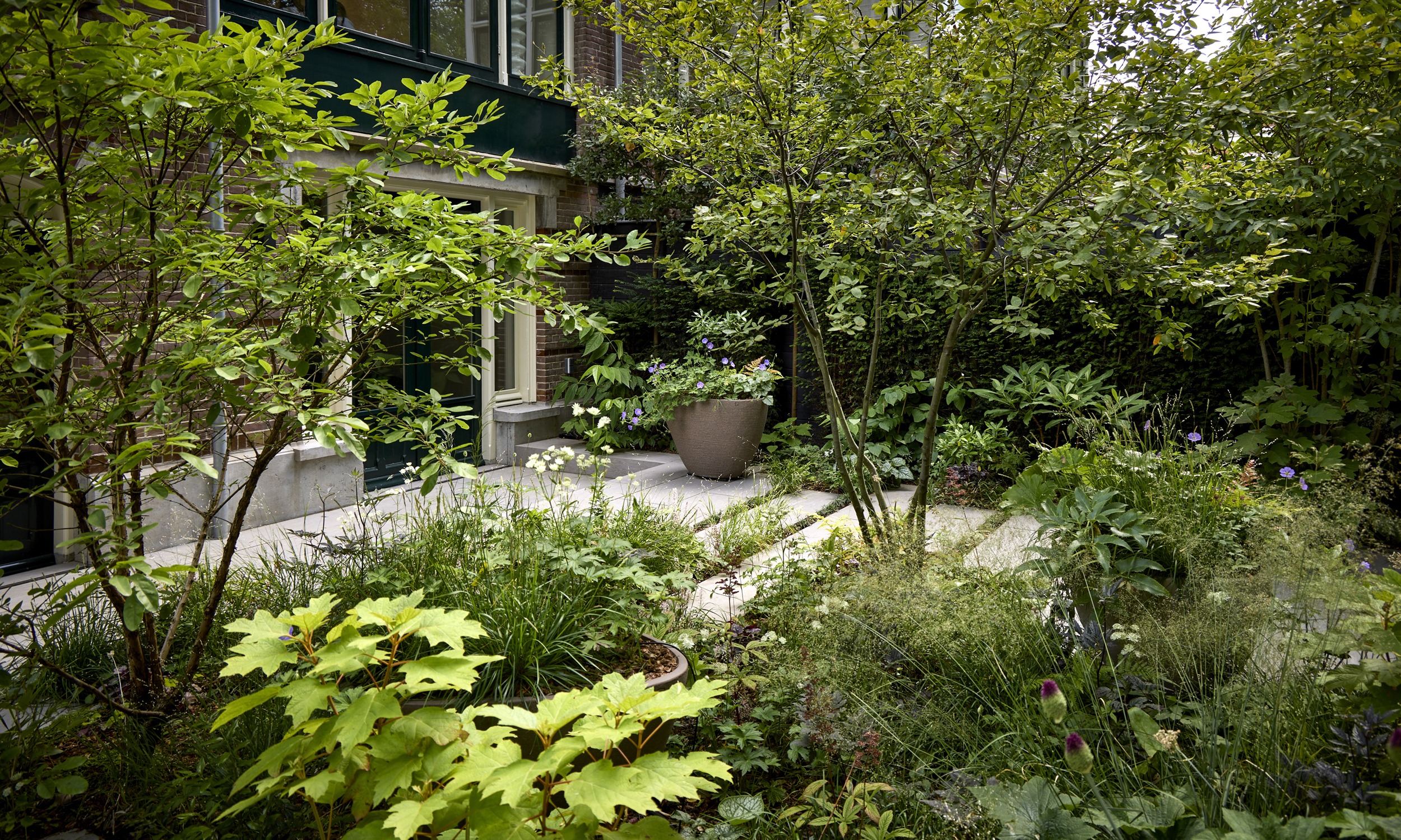 The Garden with a Vibe - 15