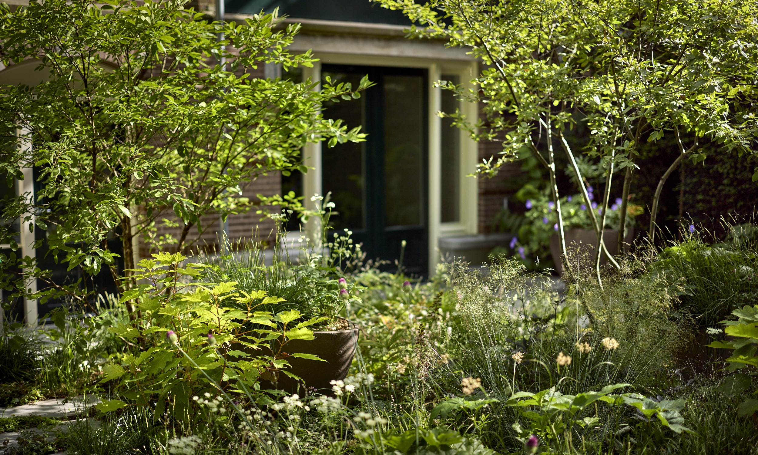 The Garden with a Vibe - 16