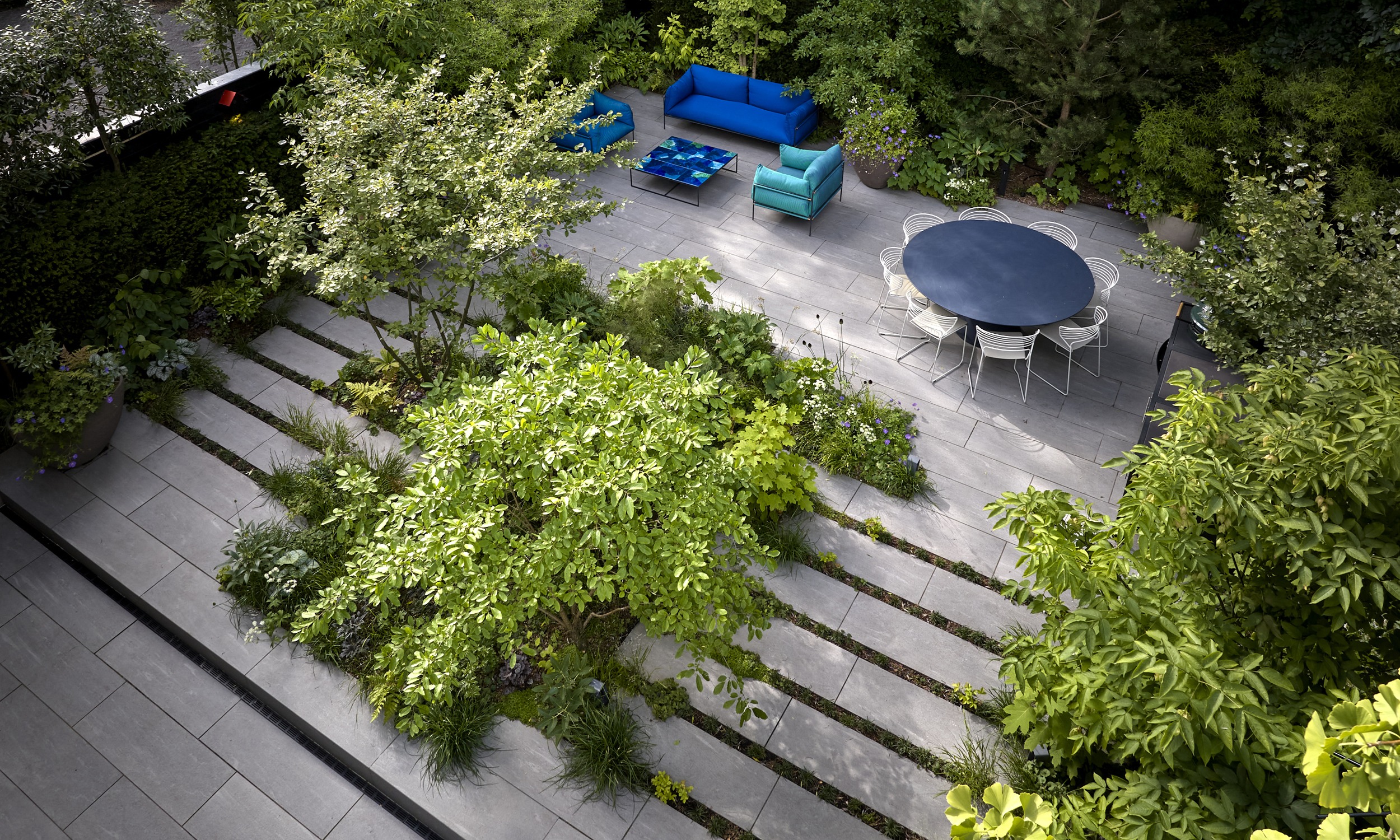 The Garden with a Vibe - 2