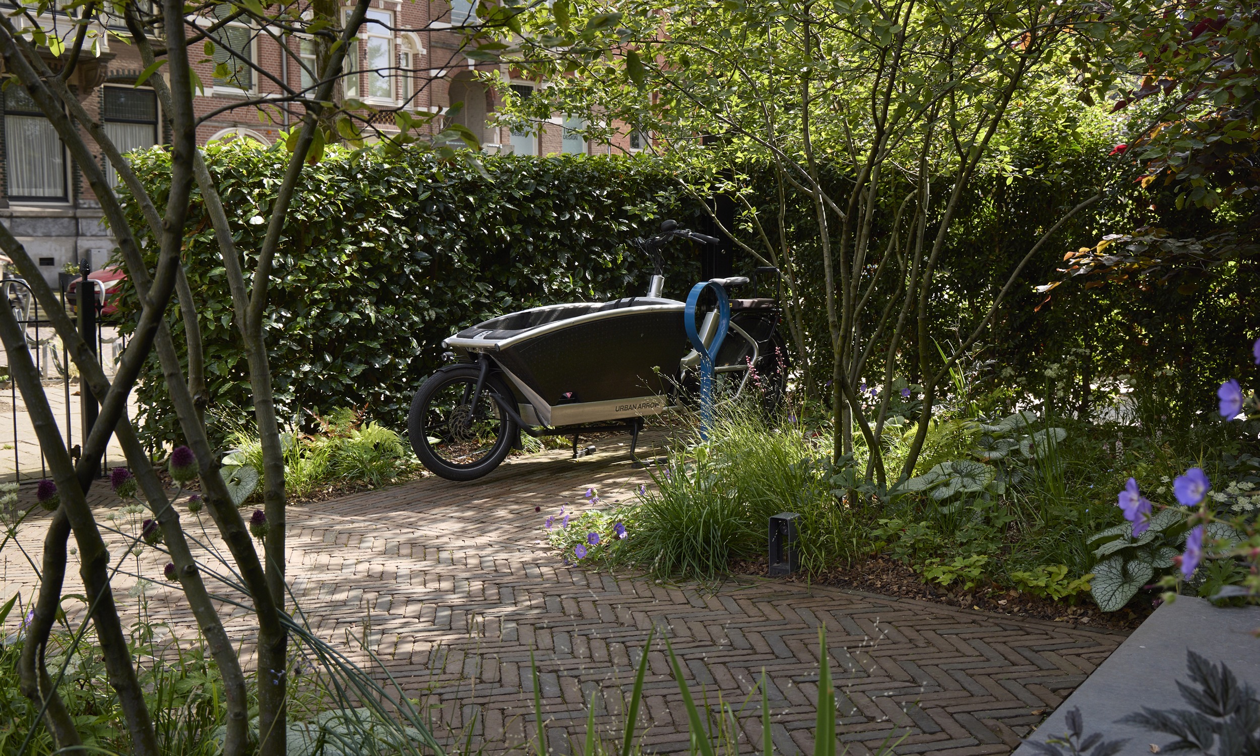 The Garden with a Vibe - 20