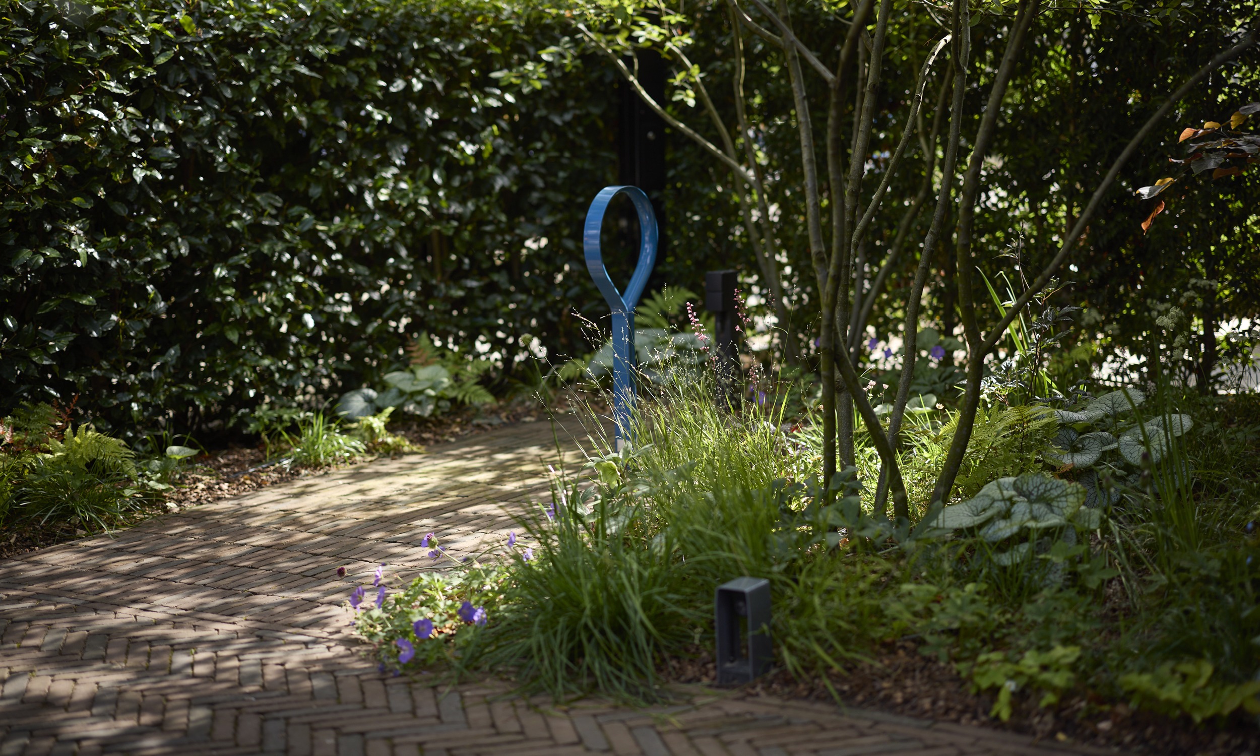 The Garden with a Vibe - 21