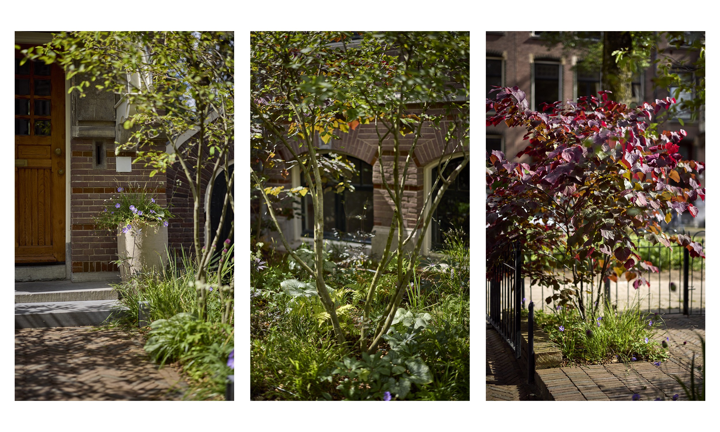 The Garden with a Vibe - 22