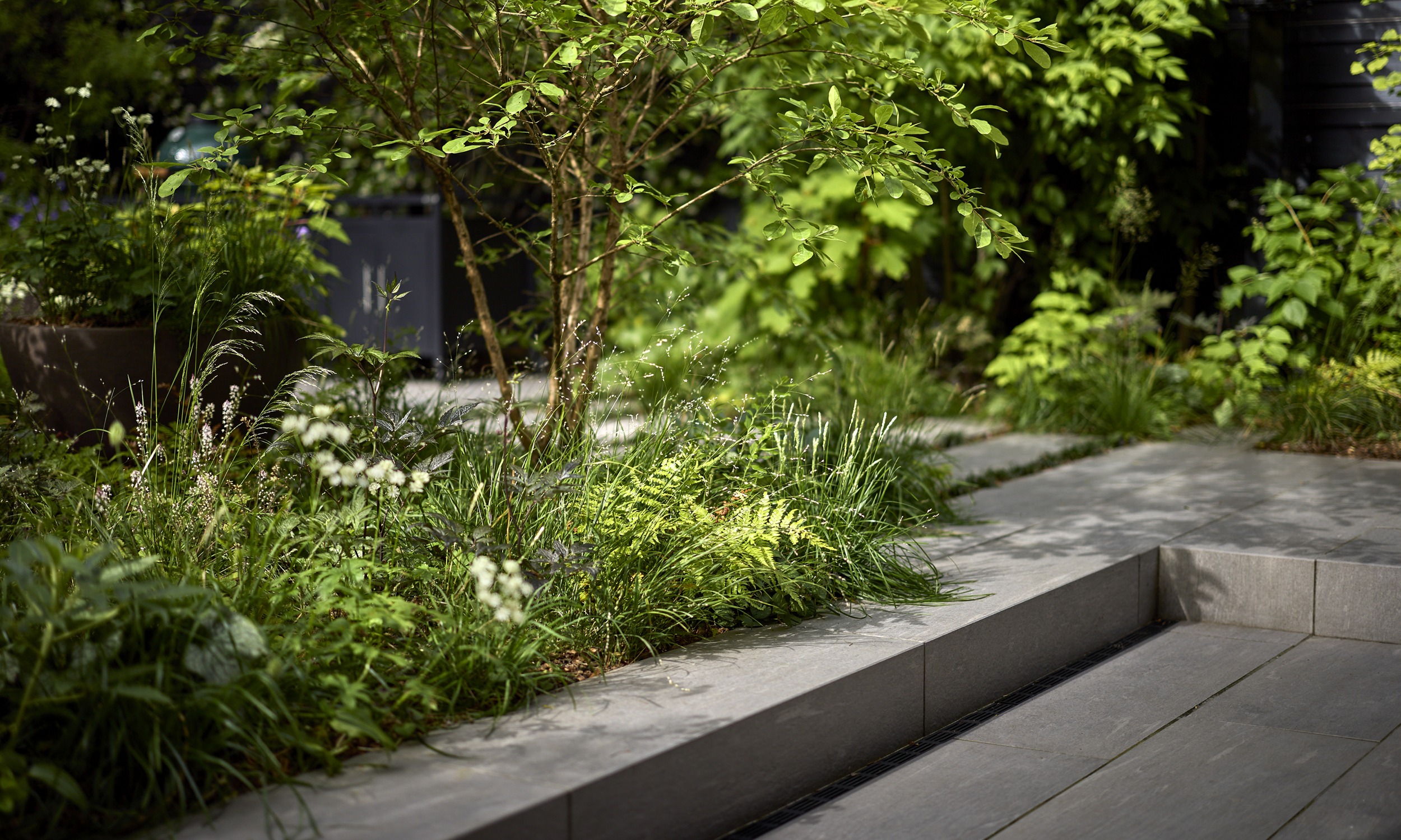 The Garden with a Vibe - 4