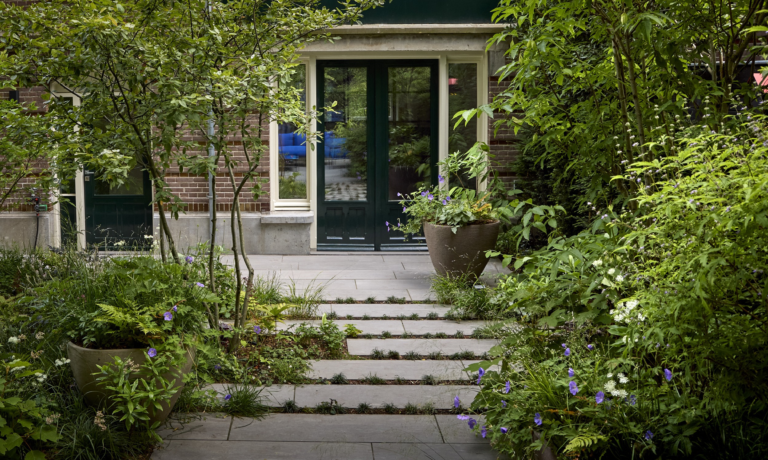 The Garden with a Vibe - 8