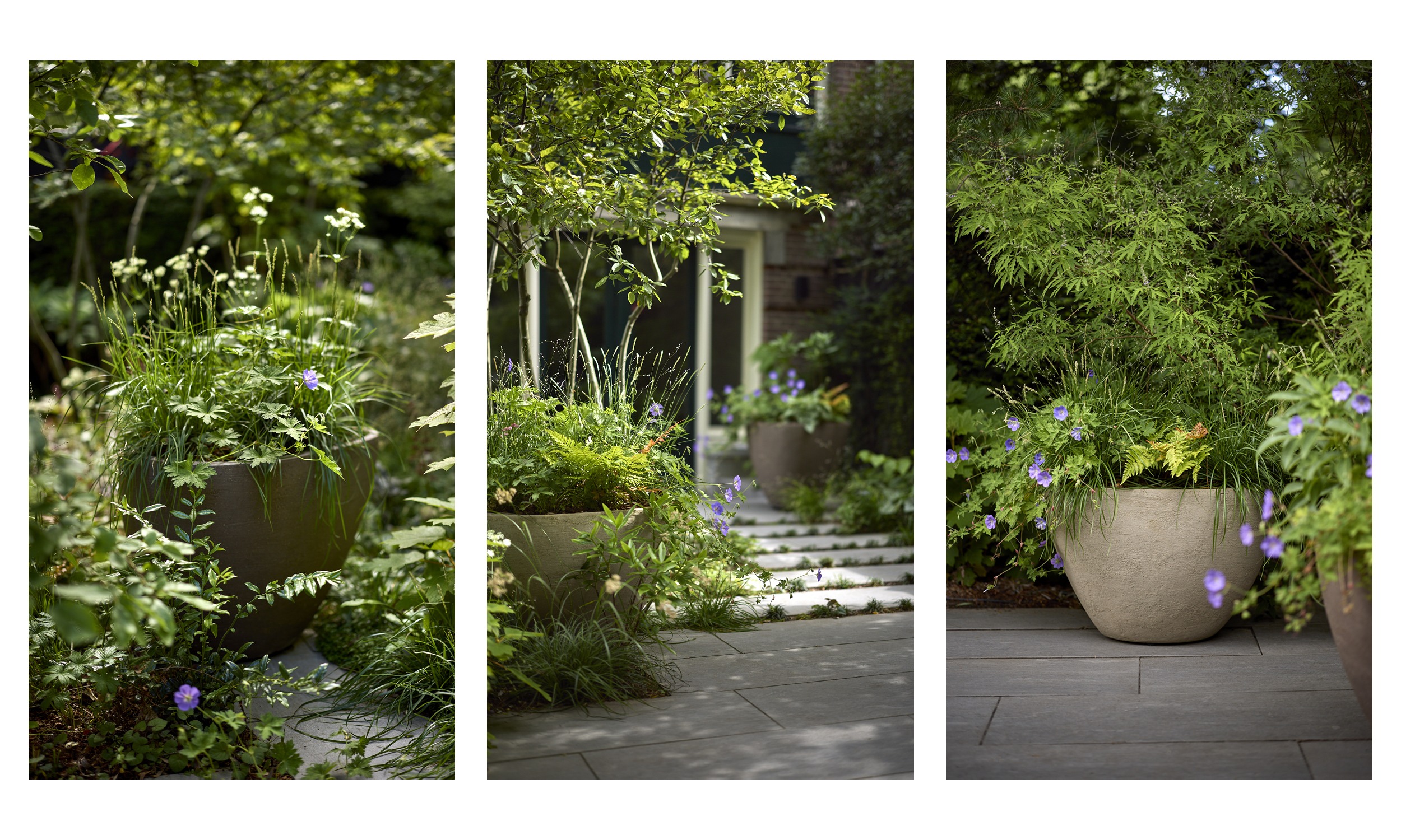 The Garden with a Vibe - 9